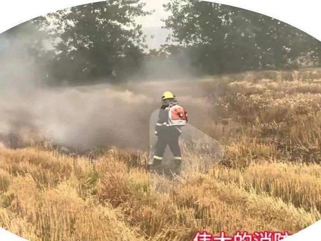 抢收小伙是00后看到收割机网友不淡定了pg电子试玩入口山东麦田起火原因曝光(图1)